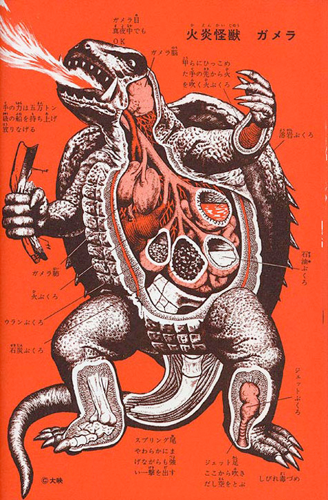 Paper Pusher An Anatomical Guide To The Xenomorph Print